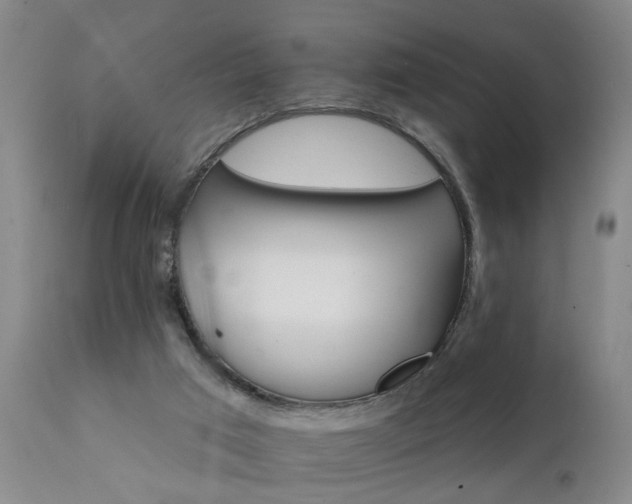 X0000111910017200907271232