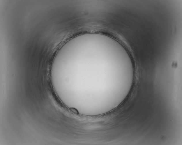 X0000111910018200907271232