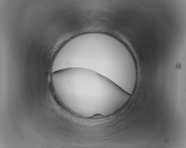 X0000111910019200907271232