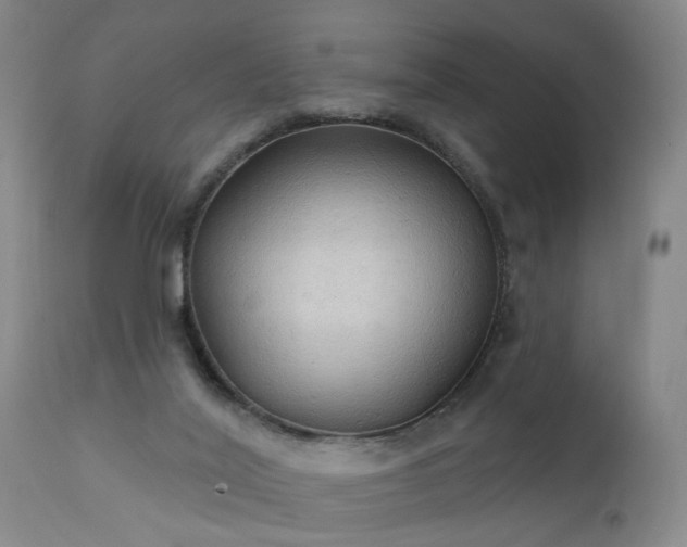 X0000111910020200907271232