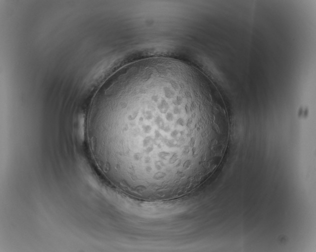 X0000111910022200907271232
