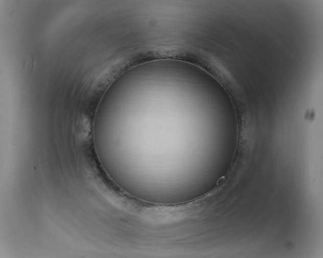 X0000111910025200907271232