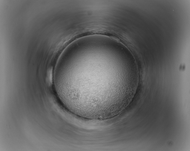 X0000111910028200907271232