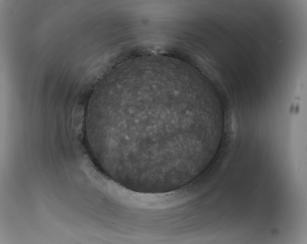 X0000111910030200907271232