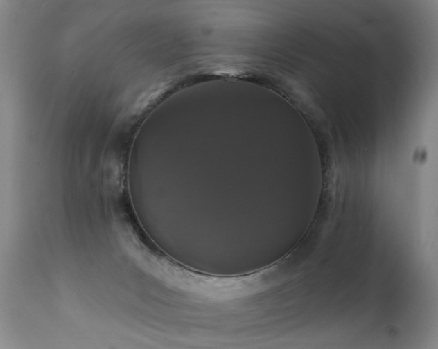 X0000111910031200907271232
