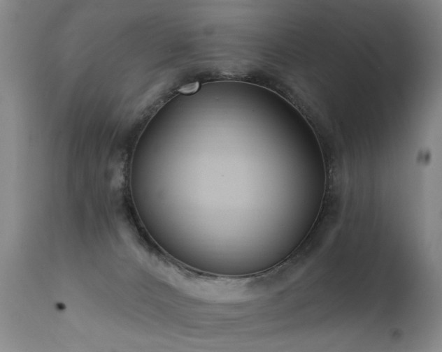 X0000111910032200907271232