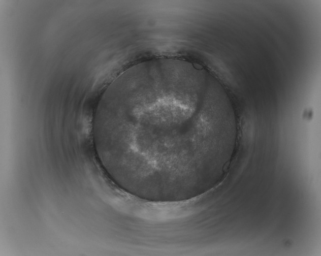 X0000111910033200907271232