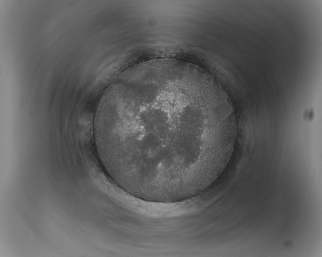 X0000111910034200907271232