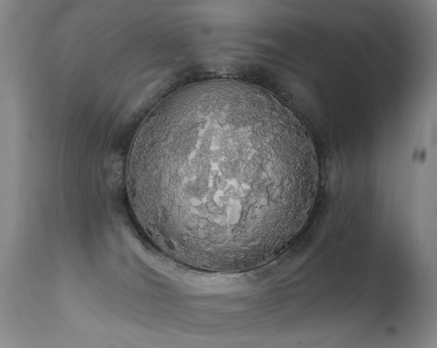 X0000111910036200907271232