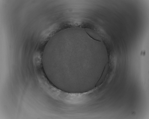 X0000111910037200907271232