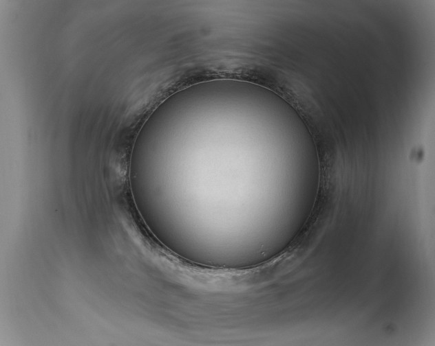 X0000111910040200907271232