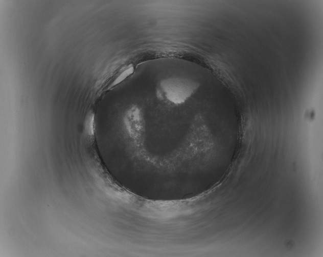 X0000111910041200907271232