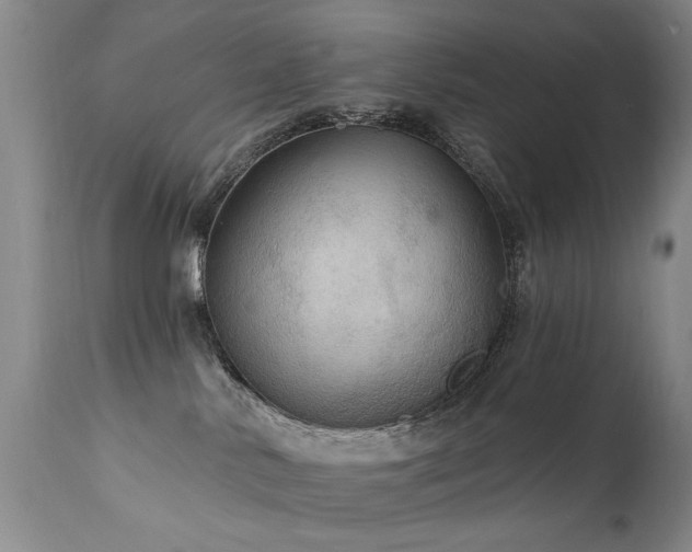 X0000111910042200907271232