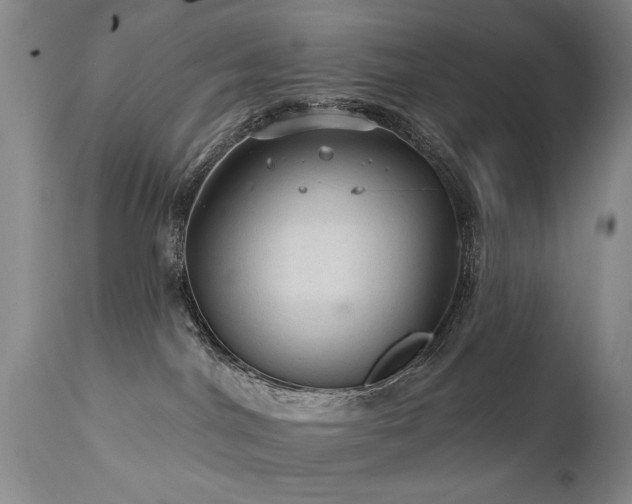 X0000111910044200907271232