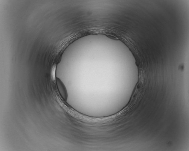 X0000111910047200907271232