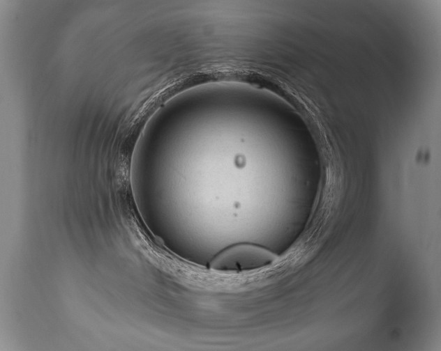X0000111910048200907271232