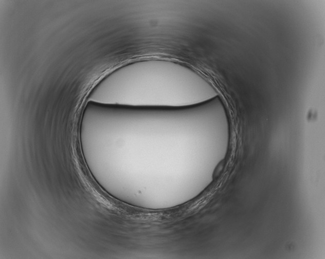 X0000111910049200907271231