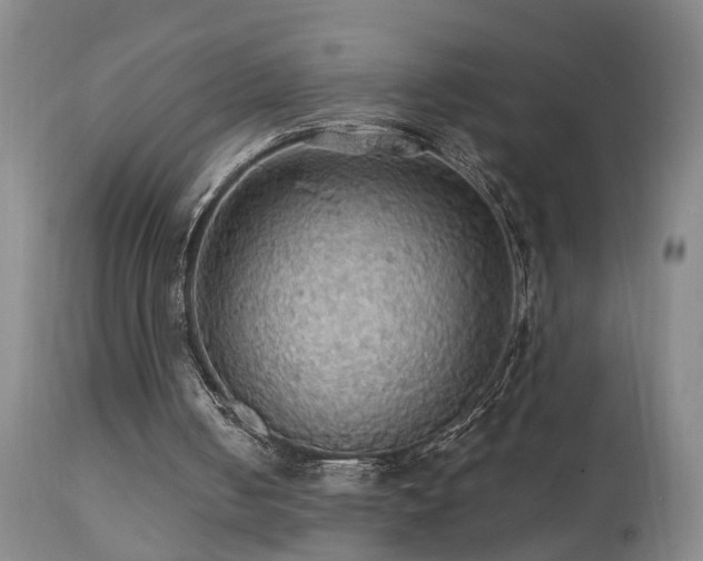 X0000111910050200907271231