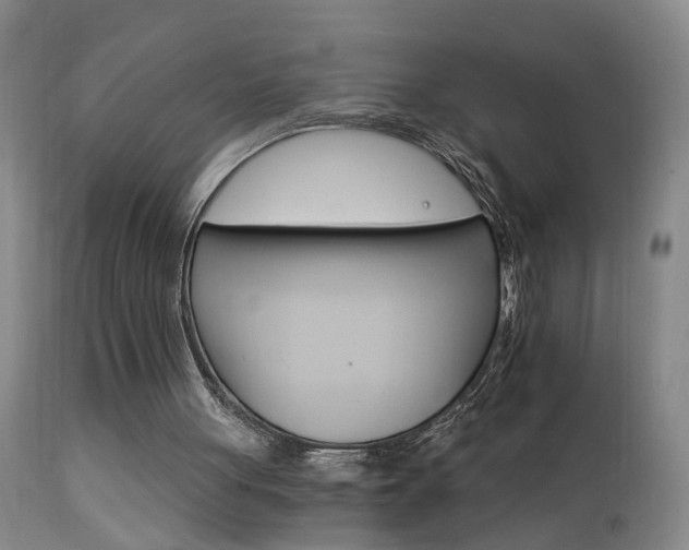 X0000111910051200907271231