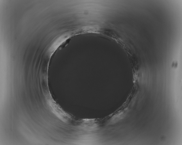 X0000111910052200907271231