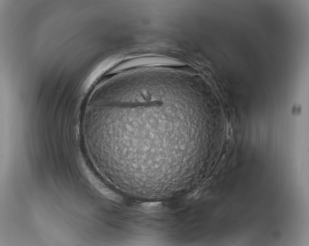 X0000111910054200907271231