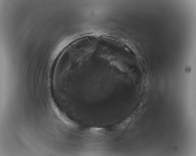 X0000111910055200907271231
