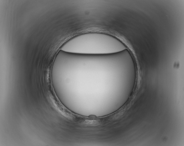 X0000111910057200907271231