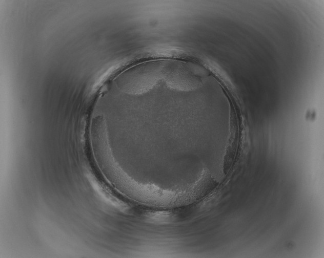 X0000111910058200907271231