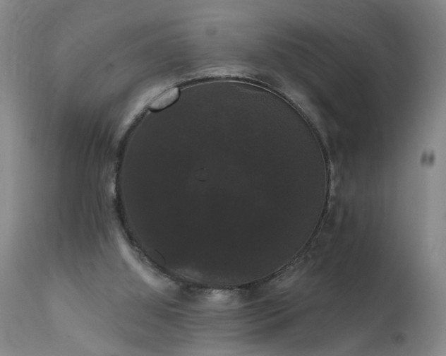 X0000111910060200907271231