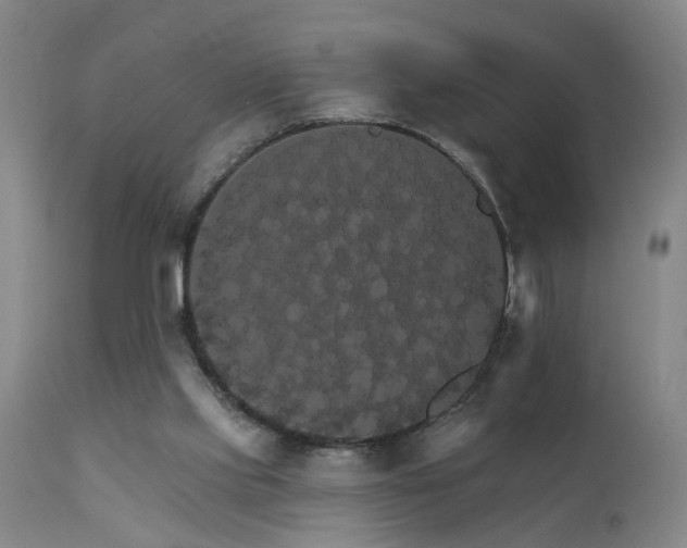 X0000111910061200907271231