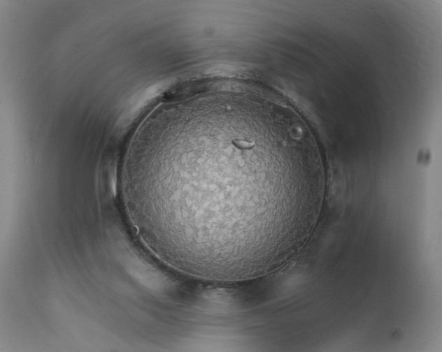 X0000111910062200907271231