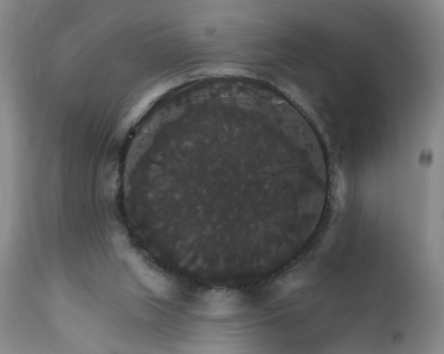 X0000111910063200907271231
