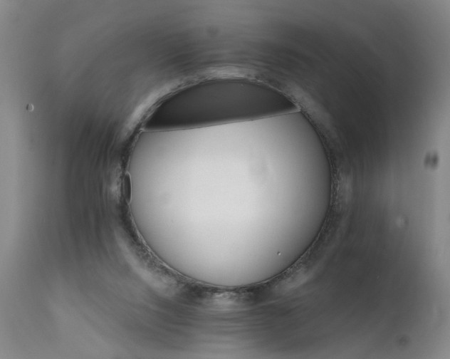 X0000111910064200907271231