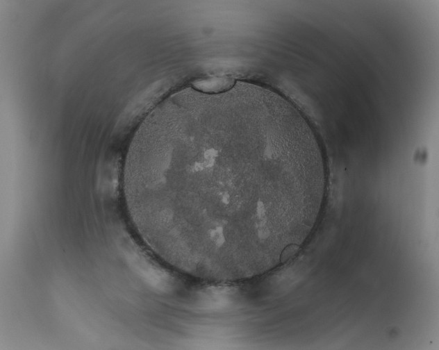X0000111910065200907271231