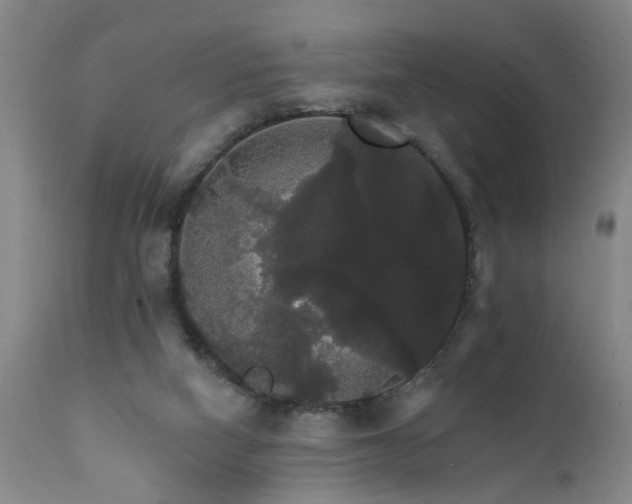 X0000111910066200907271231