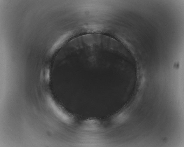 X0000111910067200907271231