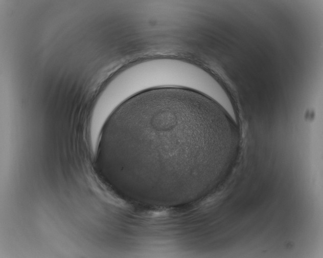 X0000111910068200907271231