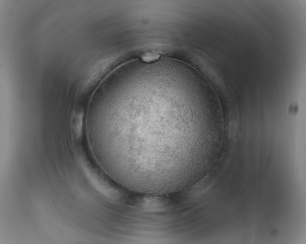 X0000111910070200907271231