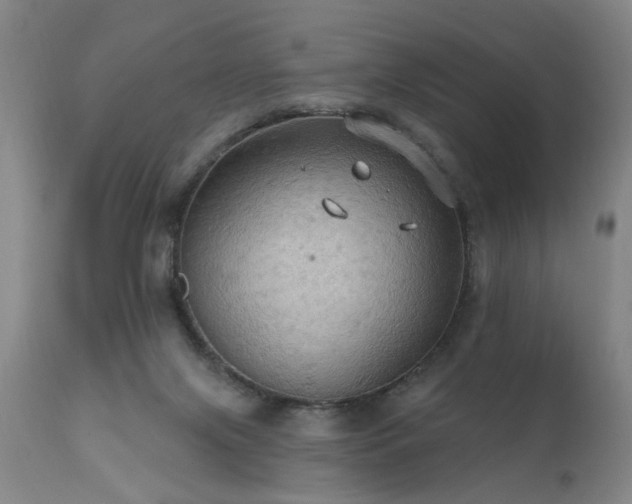X0000111910071200907271231