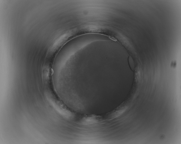 X0000111910072200907271231