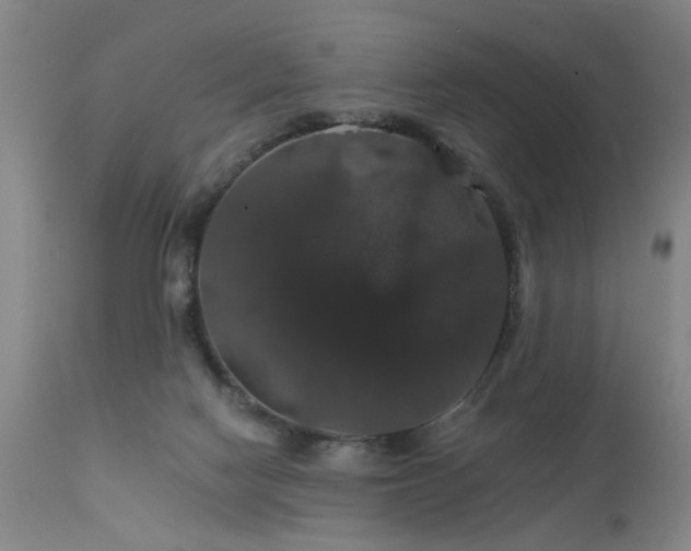 X0000111910074200907271231
