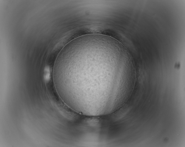 X0000111910075200907271231