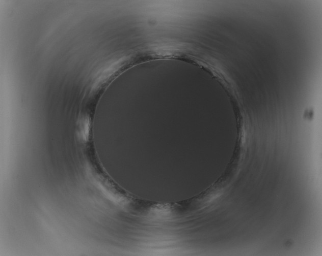 X0000111910076200907271231