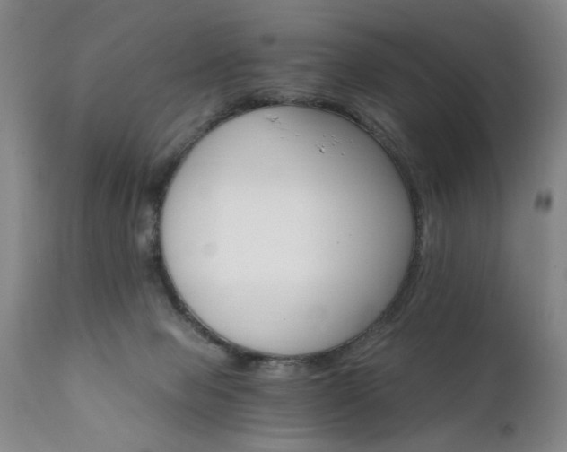 X0000111910077200907271231