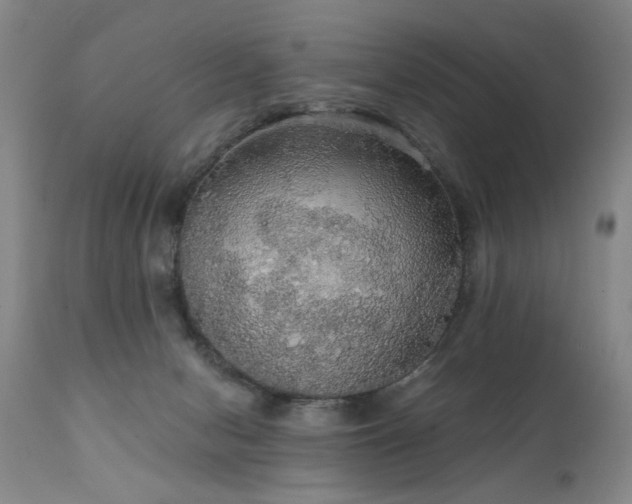 X0000111910078200907271232