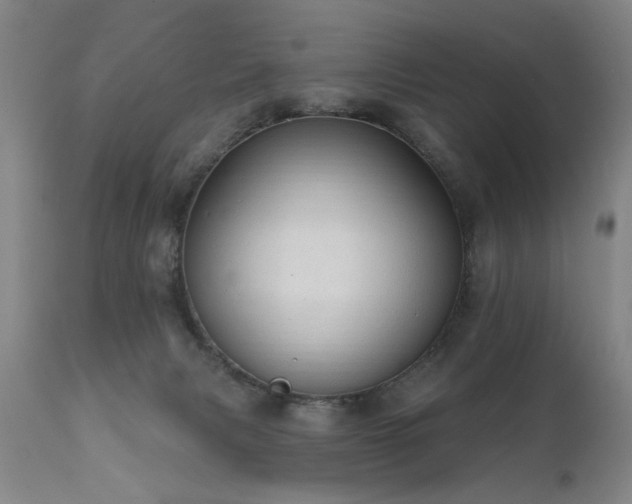 X0000111910079200907271232