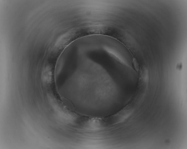 X0000111910080200907271232