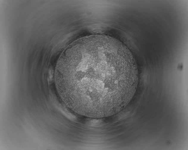 X0000111910081200907271232