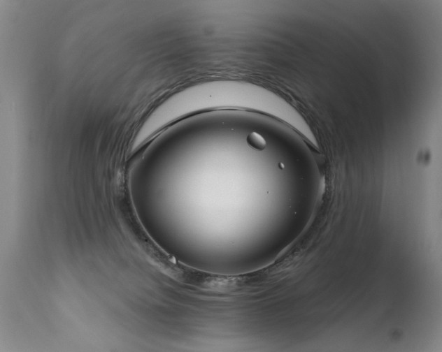 X0000111910084200907271232