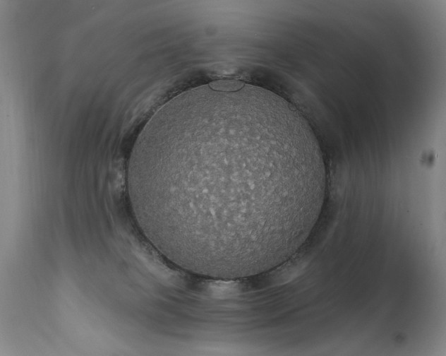 X0000111910085200907271232